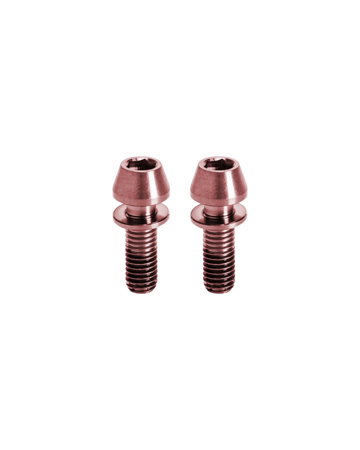 TI-STEERER-KIT-ROSE X2 UND