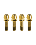 TI-STEM-KIT-GOLD X4 UND