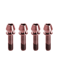 TI-STEM-KIT-ROSE X4 UND