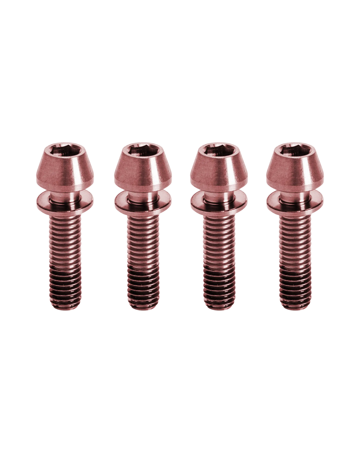 TI-STEM-KIT-ROSE X4 UND